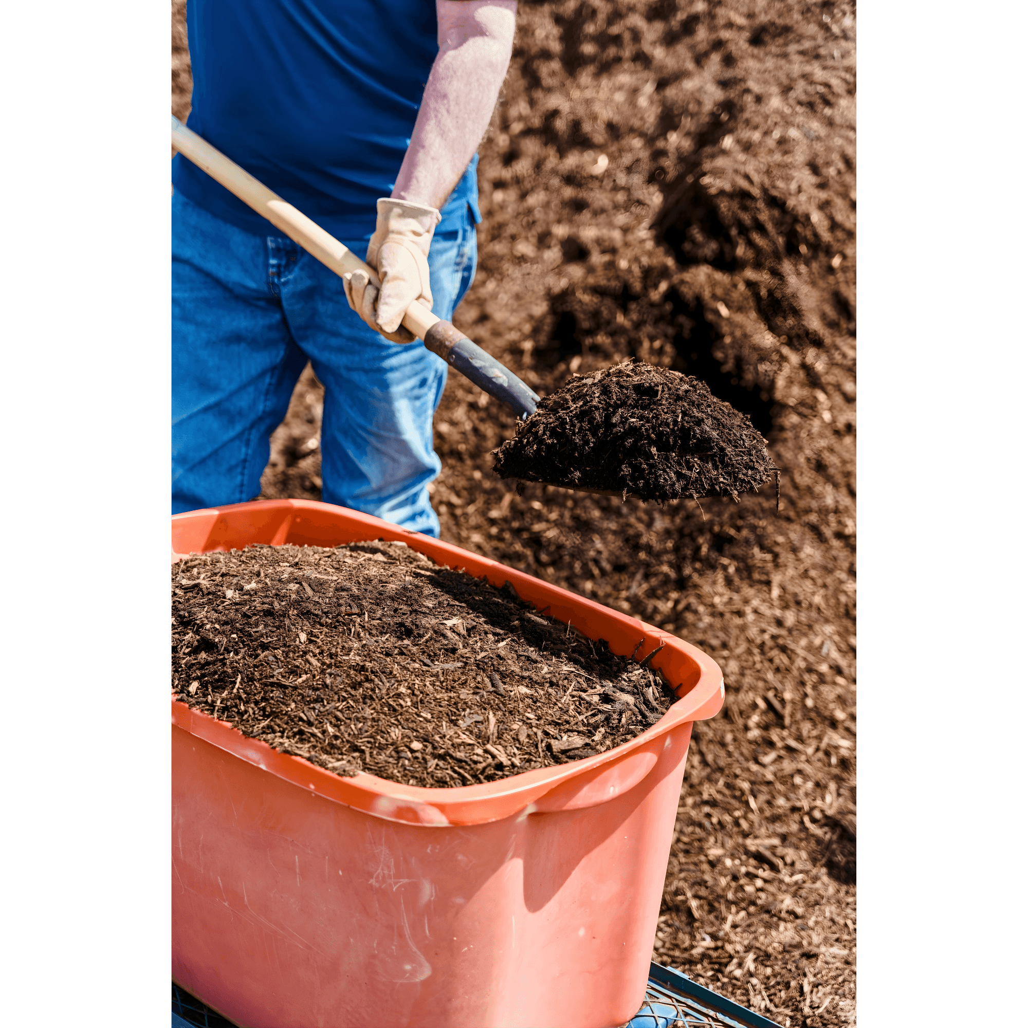 {"value":{"src":"https://file-manager-bucket-production-234547735252.s3.eu-west-2.amazonaws.com/igzt2mnpzukgv_Soilandsand-shovel.png","alt":"","title":"Soilandsand-shovel.png","fileId":"01KNPF9EQ27SZ2033NZ6FRC4K9"}}